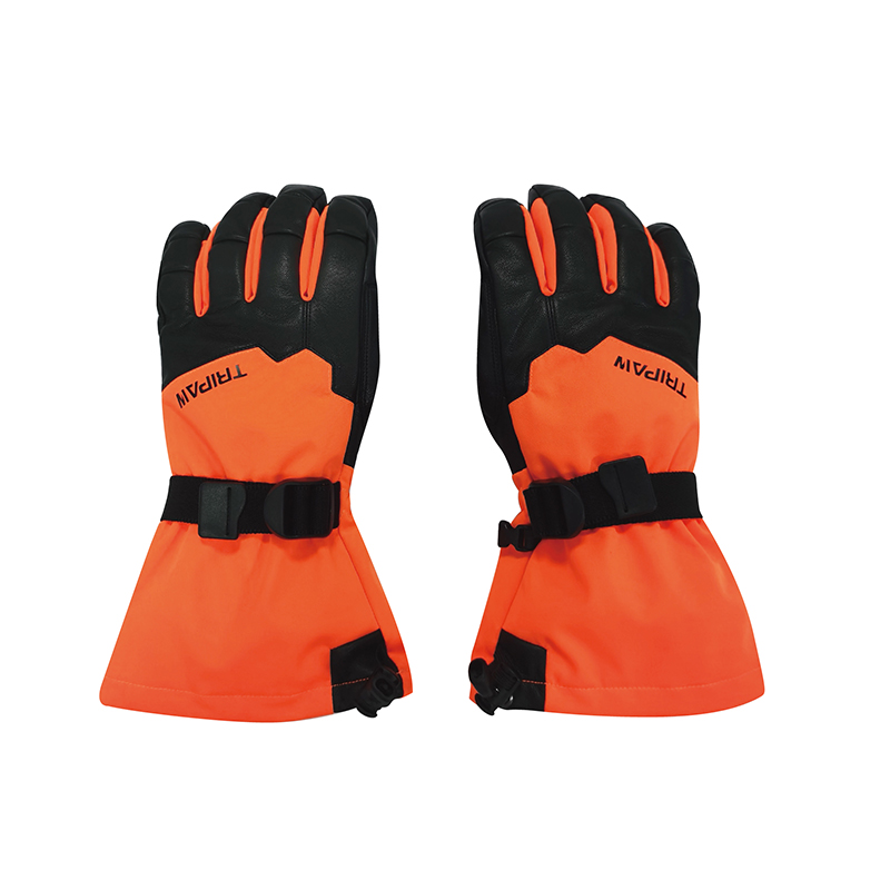 Ski gloves